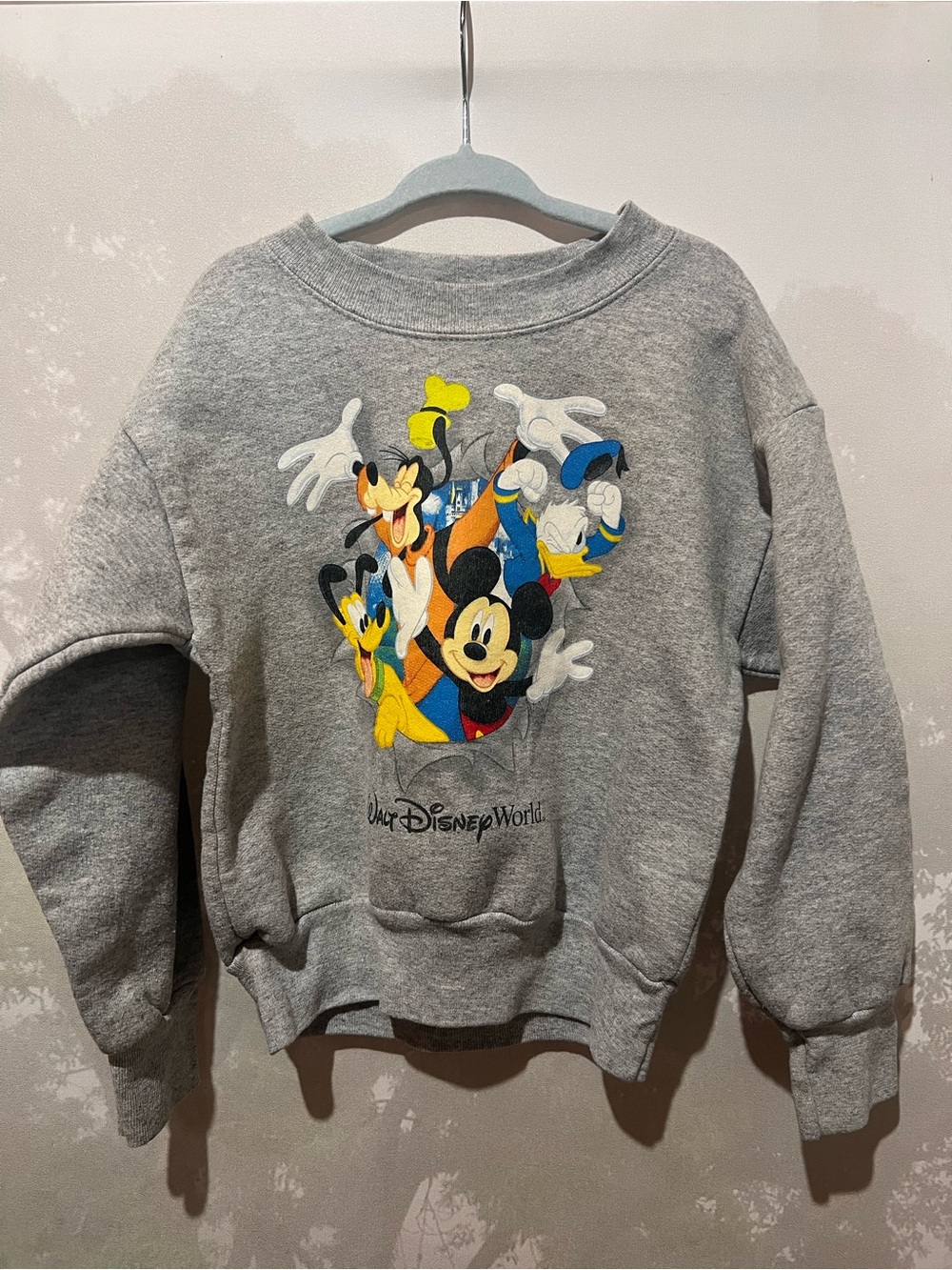 Disneyland Resort - Mickey & Friends Sweatshirt
